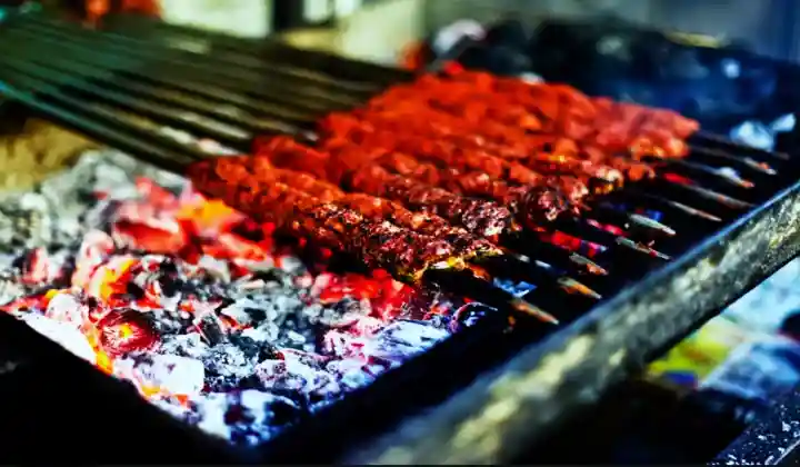 Kebabs cocinándose en brochetas de hierro sobre carbón — cocina Awadhi Lucknow tour gastronómico India TTI Tours