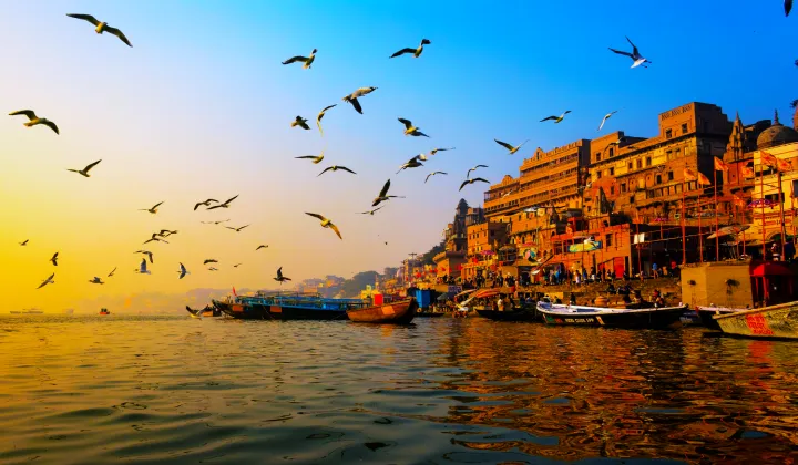 Ghats de Varanasi al amanecer desde bote — pájaros volando sobre el Río Ganges India primer viaje TTI Tours