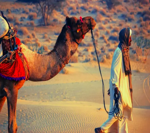 Safari en camello, dunas de Jaisalmer, Rajasthan.