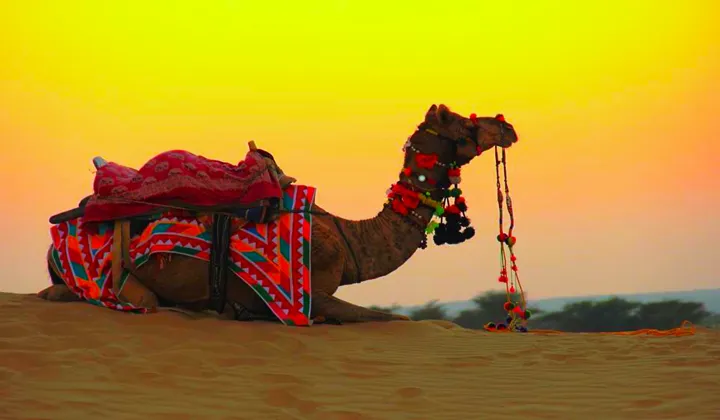Camel safari at sunset Sam Sand Dunes Jaisalmer — luxury desert night Golden Triangle Rajasthan tour