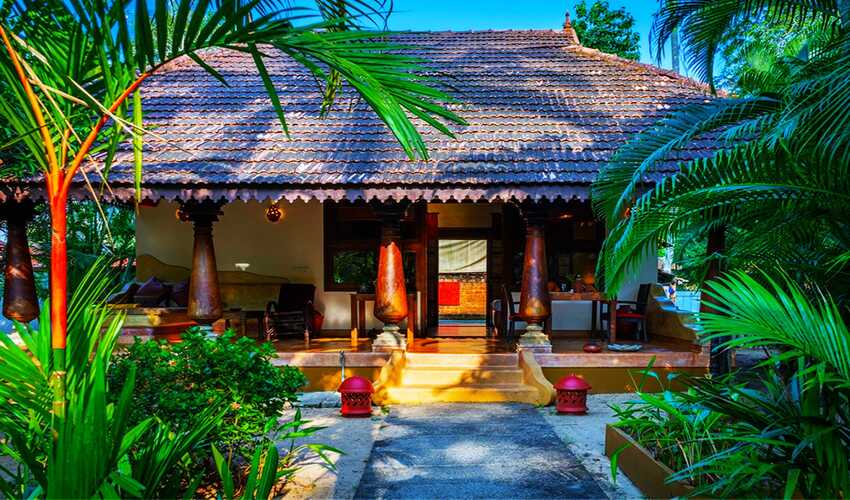 Kerala 4 Days Tour – Tea Gardens, Wildlife & Backwaters