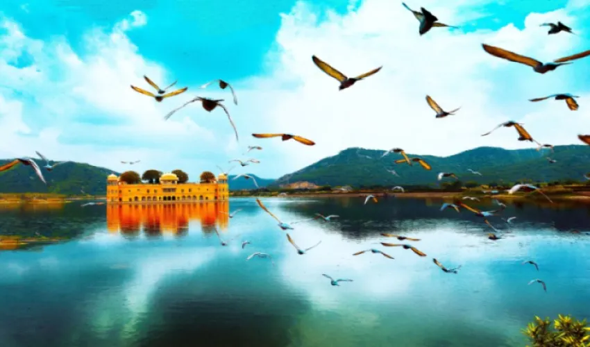 Jal Mahal Jaipur TTI Tours