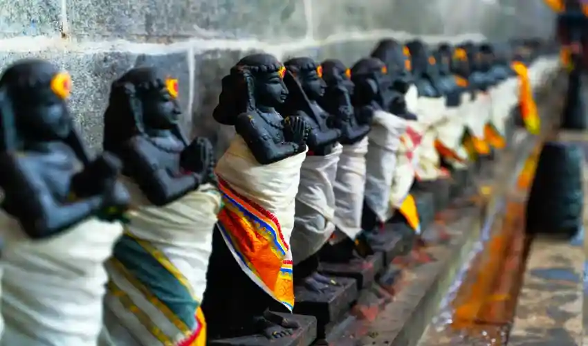 A row of black stone deity idols draped in white and saffron cloth along the inner corridor of a Tamil Nadu temple — the living devotional tradition of South India