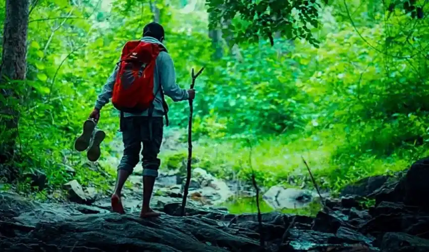 Kerala Walking & Wildlife Holiday TTI Tours