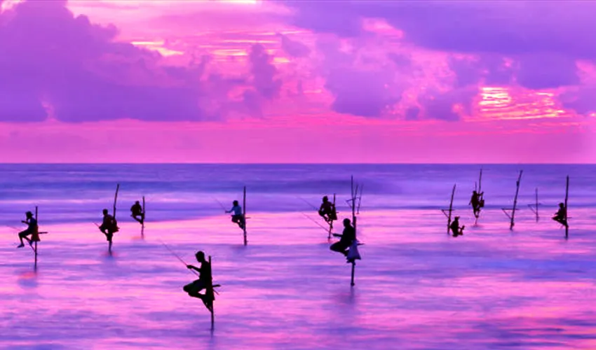 Kerala Sri Lanka Nature Wildlife & Whale Watching Tour